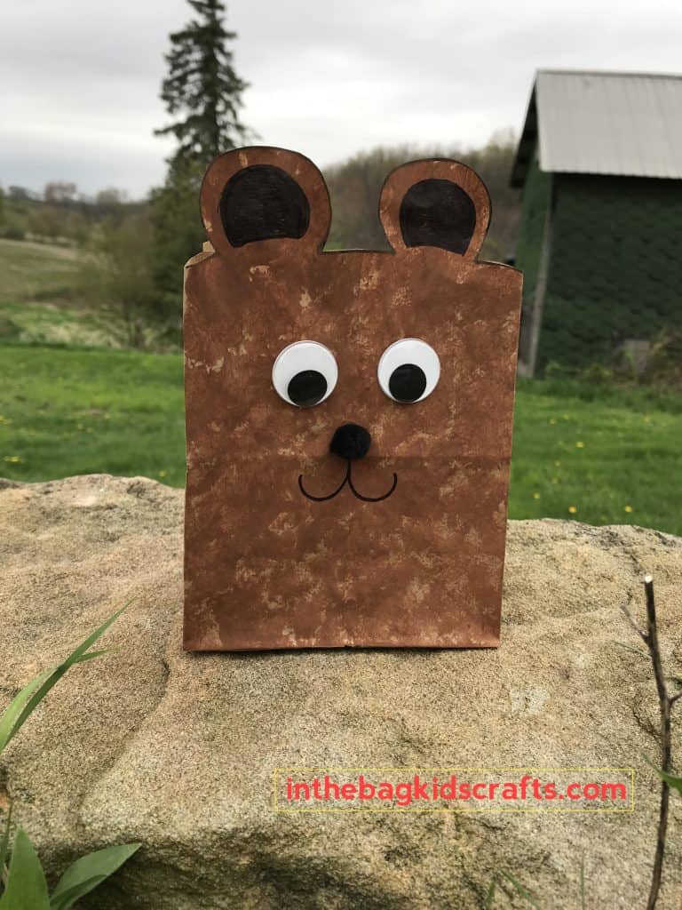 Teddy Bear Gift Bag 