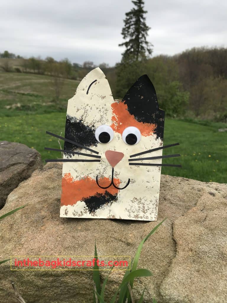 Cat Gift Bag Easy Kids' Craft 