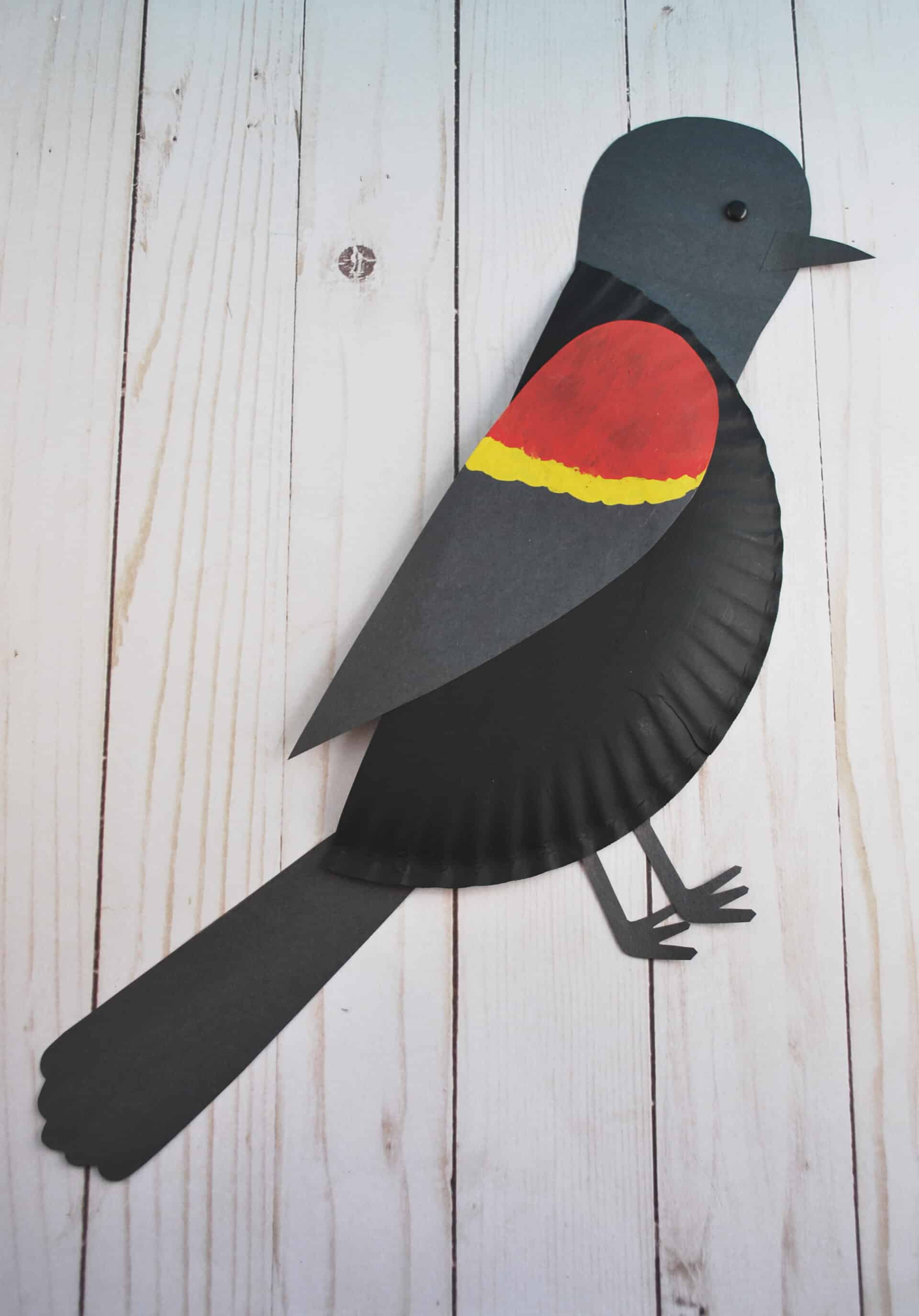 Paper Plate Bird Crafts (eBook Collection) • In the Bag Kids' Crafts
