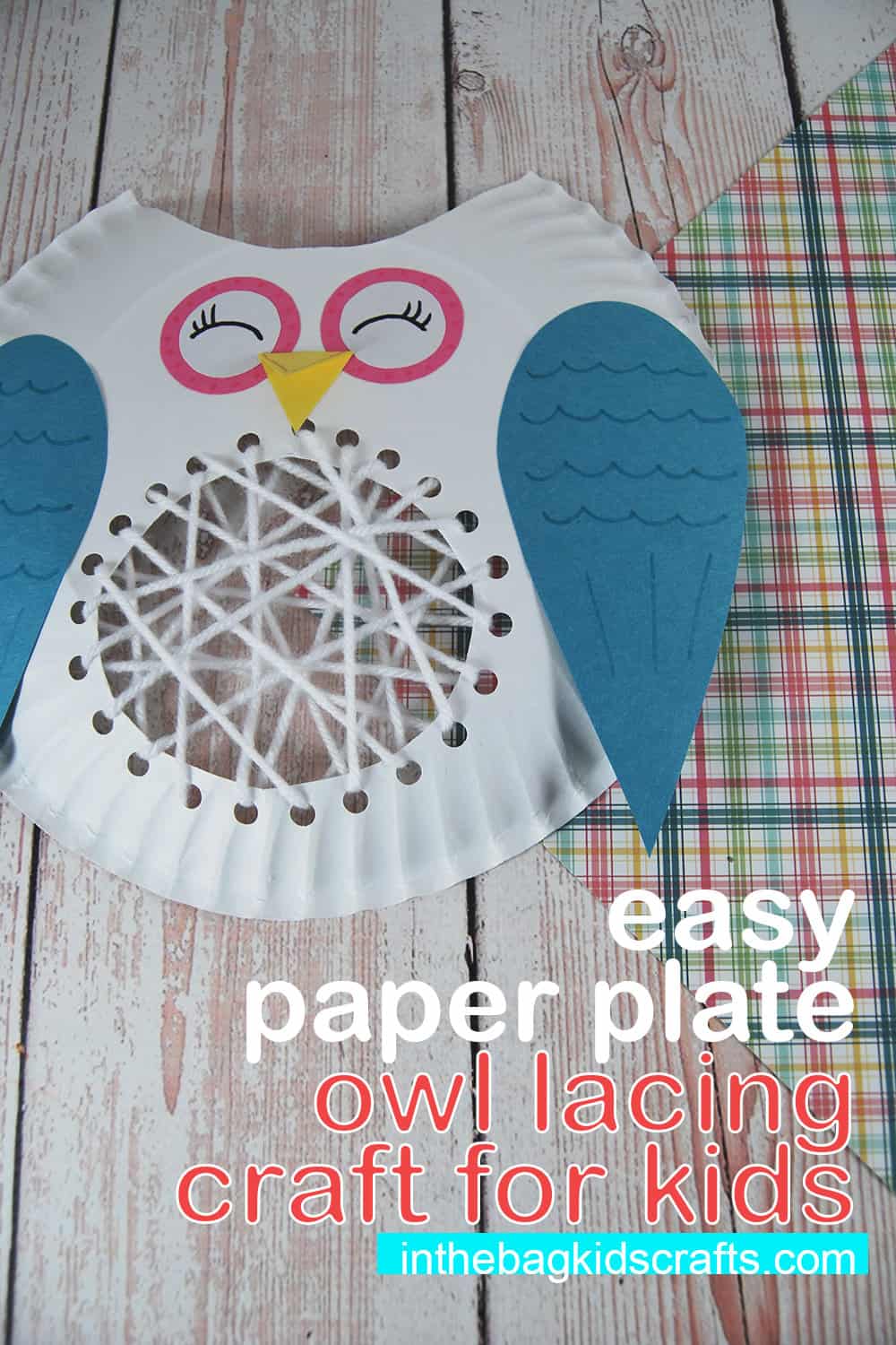 Paper Plate Owl Craft • In the Bag Kids Crafts